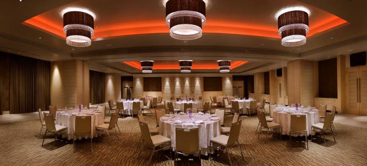 金奈安娜萨莱铂尔曼酒店(Pullman Chennai Anna Salai)图片