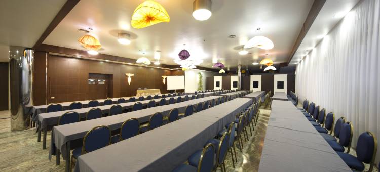 国会酒店(Hotel Spa Congreso)图片