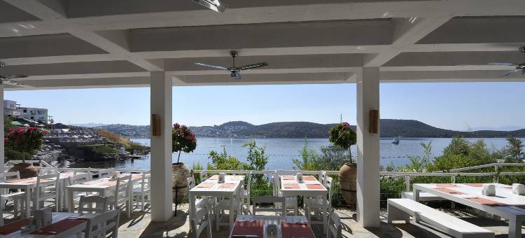 多利亚博德鲁姆酒店(Doria Hotel Bodrum-City Center)图片