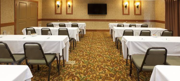 芝加哥西-罗塞尔智选假日套房酒店(Holiday Inn Express & Suites Chicago West-Roselle)图片