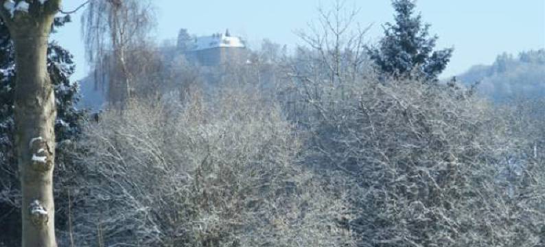 Hotel Berggarten Garni图片