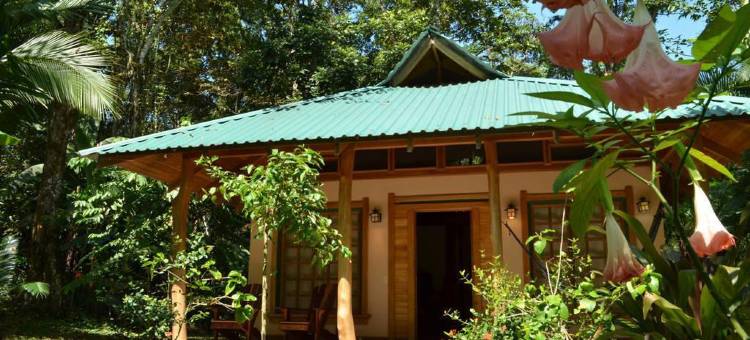 鸟巢丛林小屋(El Nido Jungle Lodge)图片