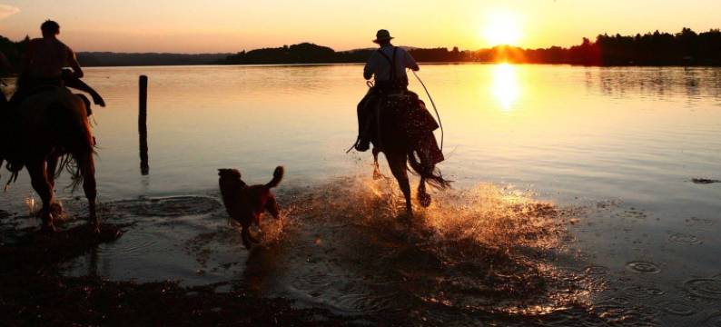珀思特穆尔瑙酒店(Hotel Post Murnau)图片