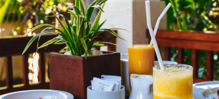索尼娅乌布别墅酒店(Villa Sonia Ubud)图片