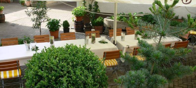 罗特欧森餐厅酒店(Hotel-Restaurant Roter Ochsen)图片