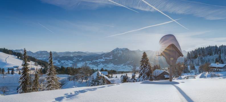 波戴勒高山酒店(Bödele Alpenhotel)图片