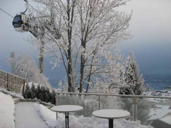 Haus Ashling Hotel Reviews And Room Rates Trip Com