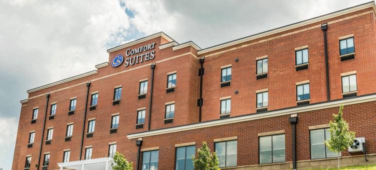 辛辛那提南部弗洛伦斯舒适套房酒店(Comfort Suites Florence - Cincinnati South)图片