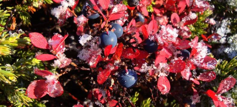 北欧自然酒店(Nordic Natura)图片