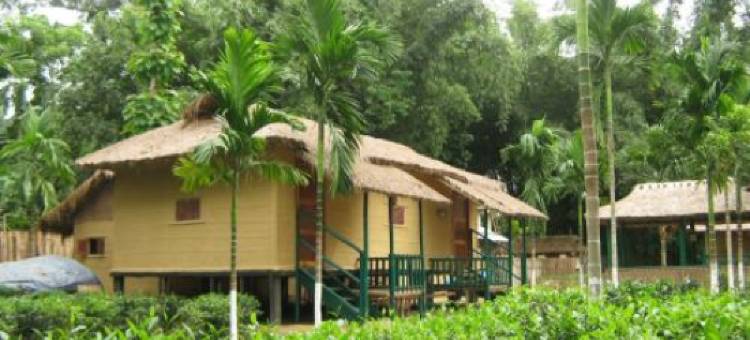 Nature Hunt Eco Camp图片