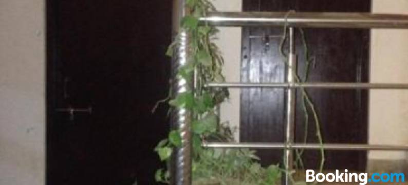 Suri Guest House图片