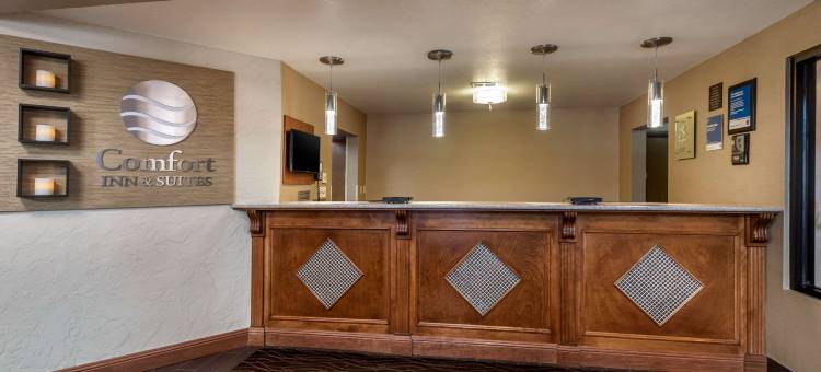 斯普林菲尔德I-44舒适酒店(Comfort Inn & Suites Springfield I-44)图片