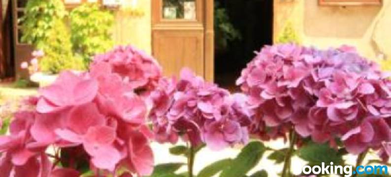 大公爵旅馆(Logis Hostellerie du Grand Duc hôtel Restaurant)图片