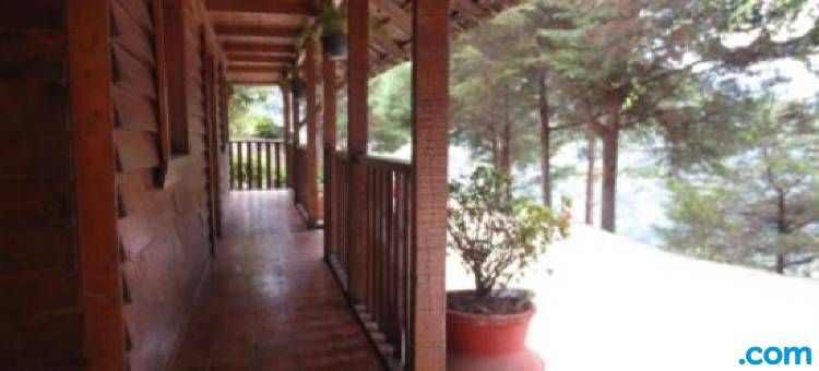 卡瓦尼亚斯皮诺斯5号旅舍(Cabañas 5 Pinos)图片