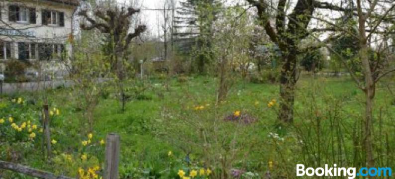 黑森格尔特利酒店(Hotel Hessengüetli)图片