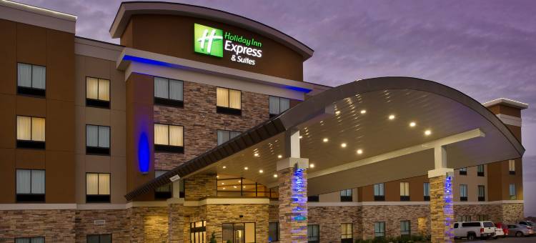 南普拉特维尔智选假日套房酒店(Holiday Inn Express & Suites Waco South)图片