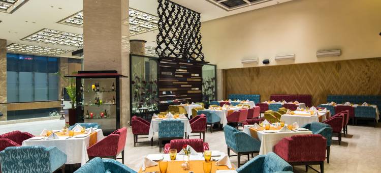 加济阿巴德区萨西巴巴德丽怡酒店(Country Inn & Suites by Radisson, Sahibabad)图片