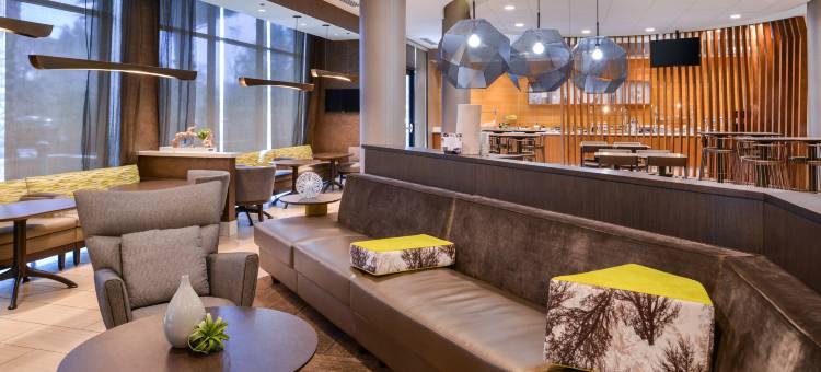 欧文韦恩机场/奥兰治万豪SpringHill酒店(SpringHill Suites Irvine John Wayne Airport / Orange County)图片