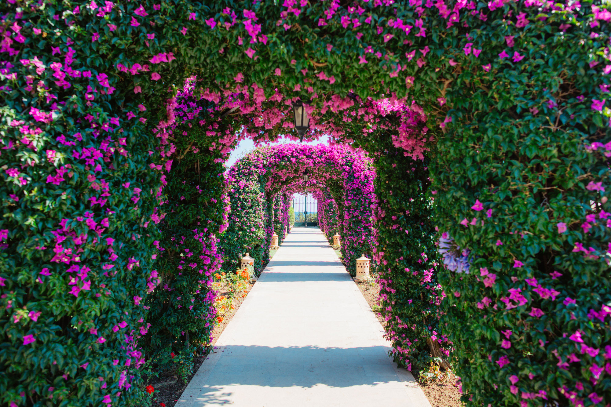 The St. Regis Mardavall Mallorca Resort Over view