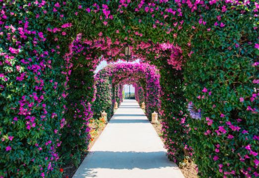 The St. Regis Mardavall Mallorca Resort Hotel Overview