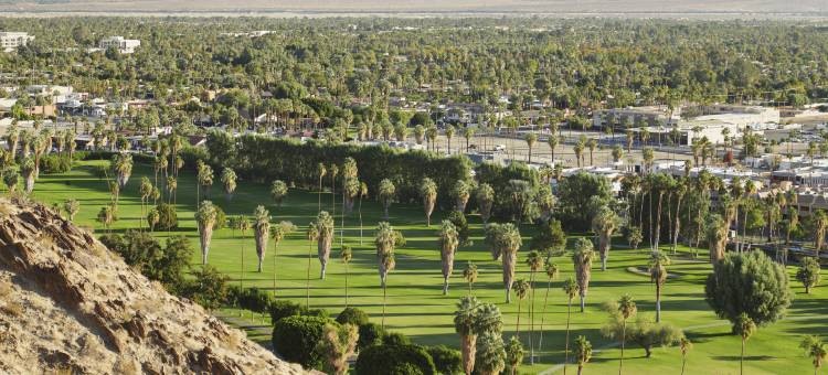 棕榈泉贝斯特韦斯特酒店(Best Western Inn at Palm Springs)图片