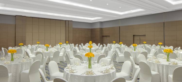 古尔冈优迪格豪尔丽筠酒店(Radisson Gurugram Udyog Vihar)图片