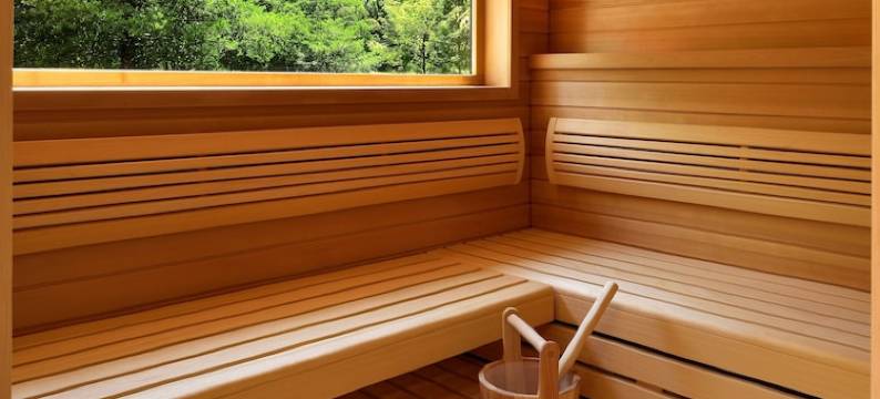 孚日之家酒店(Logis Hotel des Vosges)图片