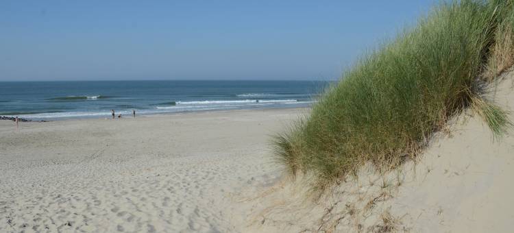 阿梅兰德尔海角弗莱彻酒店餐厅(Fletcher Hotel-Restaurant Amelander Kaap)图片