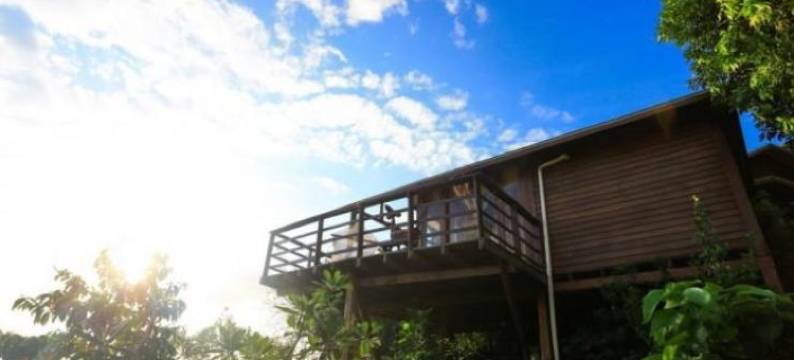 丽贝岛塞伦迪皮蒂度假酒店(Serendipity Beach Resort Koh Lipe)图片