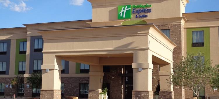 智选假日套房酒店拉伯克南(Holiday Inn Express & Suites Lubbock South)图片
