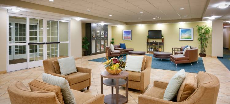 Candlewood Suites 达拉斯普莱诺东理查森(Candlewood Suites Dallas Plano East Richardson)图片