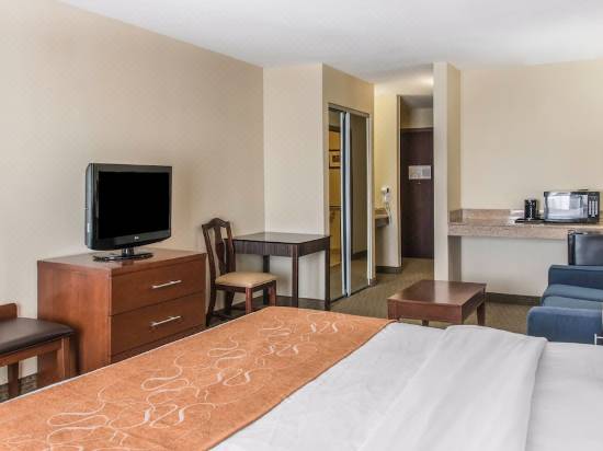 Comfort Suites Wixom Novi Hotel Reviews And Room Rates