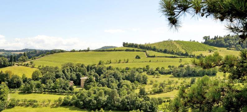 悉尼酒店(The Sydney Hotel)图片