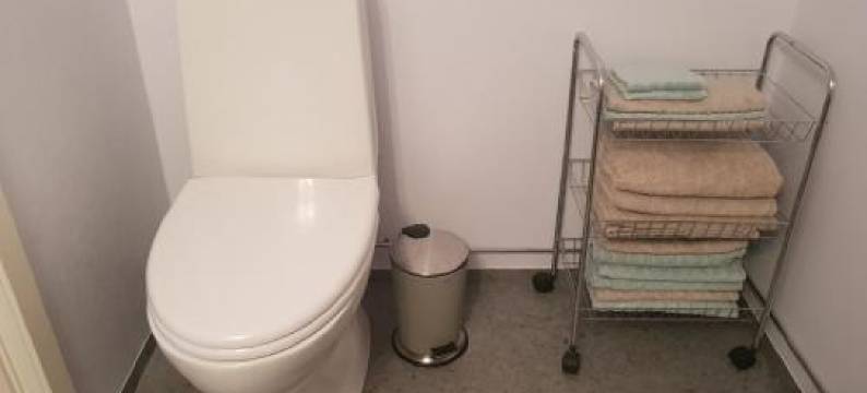 Family Room in Modern House图片