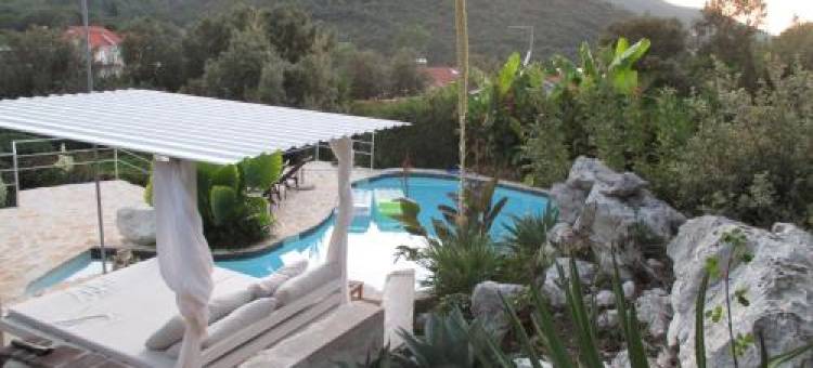 Relax Tiny Villas 40 Meters of the Beach图片