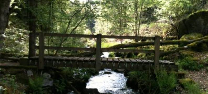 Chalet les Ecureuils图片