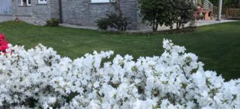 B&B la Rosa del Lago图片