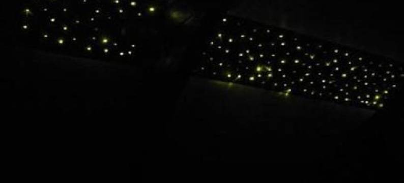 Studio MIL Roses图片