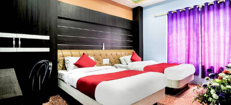 OYO 405 大太平洋私人有限公司酒店(OYO 405 Hotel Grand Pacific Pvt Ltd)图片