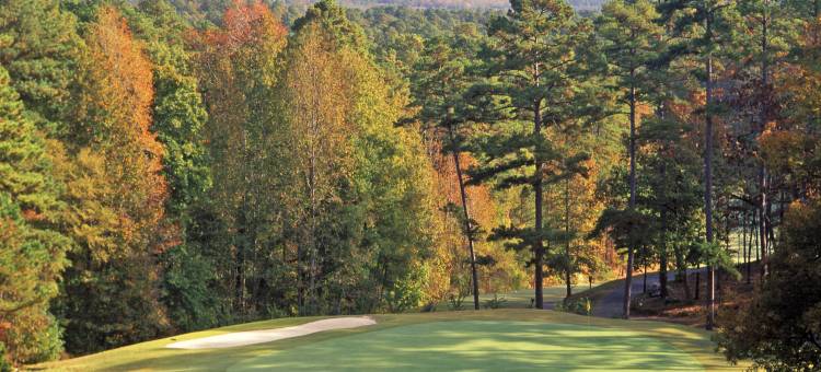 温泉城村洛斯拉各斯温德姆华美达酒店(Los Lagos at Hot Springs Village a Ramada by Wyndham)图片