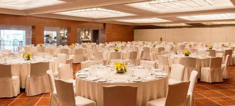 迪拜克里克喜来登酒店大厦(Sheraton Dubai Creek Hotel & Towers)图片