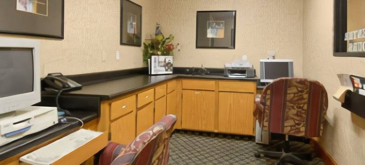 北哥伦布舒适套房酒店(Comfort Inn & Suites Columbus North)图片