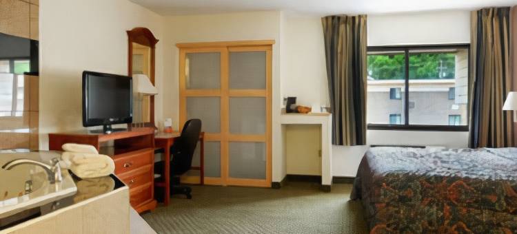 宾厄姆顿维斯塔尔凯艺套房酒店(Quality Inn & Suites Binghamton Vestal)图片