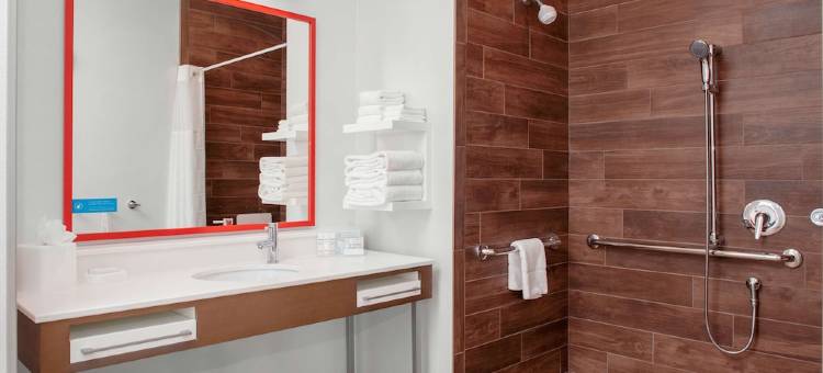 奥佛兰公园南欢朋套房酒店(Hampton Inn & Suites Overland Park South)图片