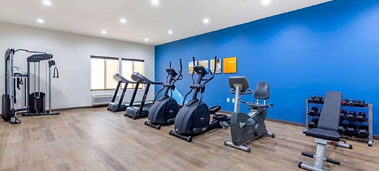 格林斯伯勒 - 高点舒适套房酒店(Comfort Suites Greensboro-High Point)图片