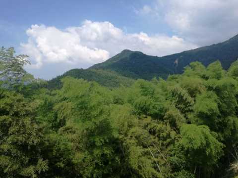 罗田薄刀峰紫雾山庄点评