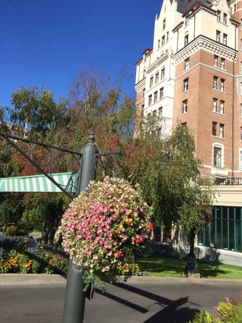 费尔蒙特帝后大酒店(fairmont empress hotel)点评