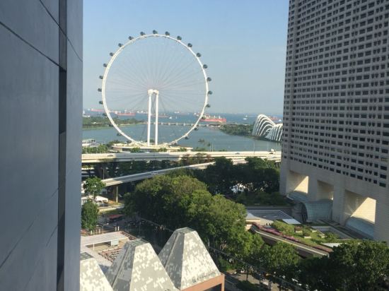 新加坡帝盛酒店