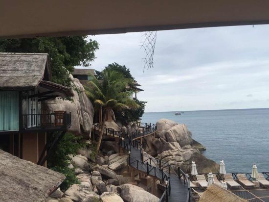 龟岛芒果湾精品度假村预订及价格查询【携程海外酒店】mango bay