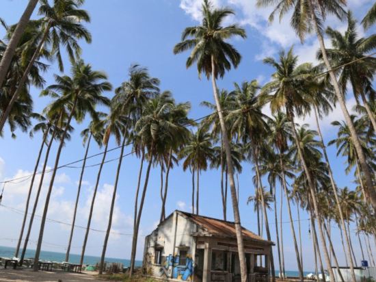 沙丘酒店(sanddune hotel)好评,2条好评 -携程酒店点评